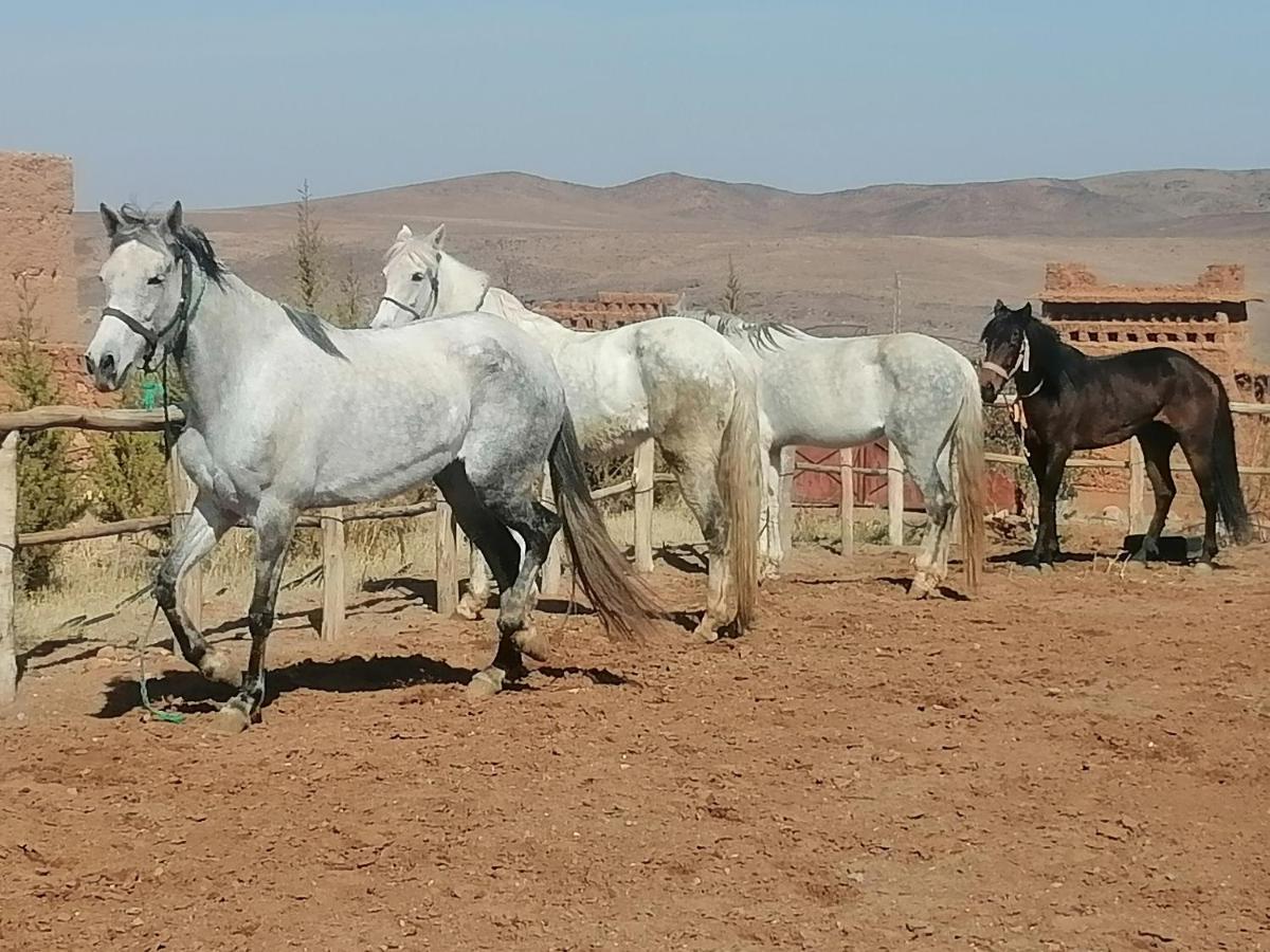 Dar Alfourssane Ferme D'hote