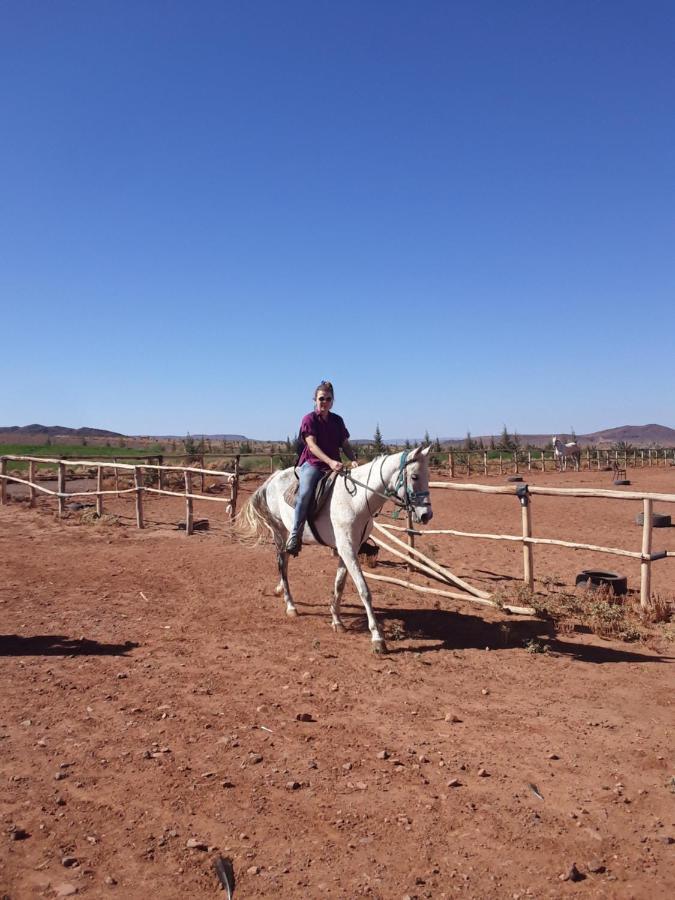 Dar Alfourssane Ferme D'hote Luxury tent