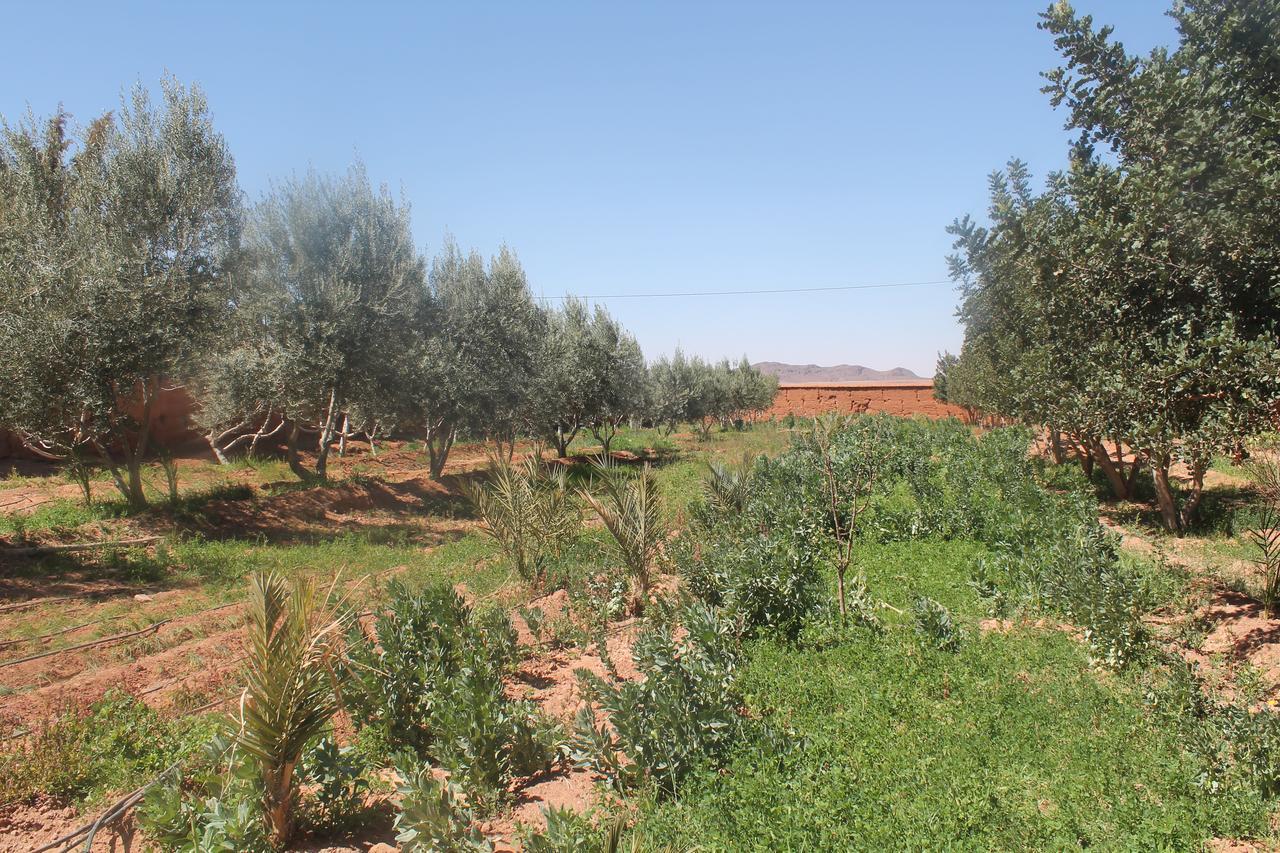 Dar Alfourssane Ferme D'hote Luxury tent Ouarzazate