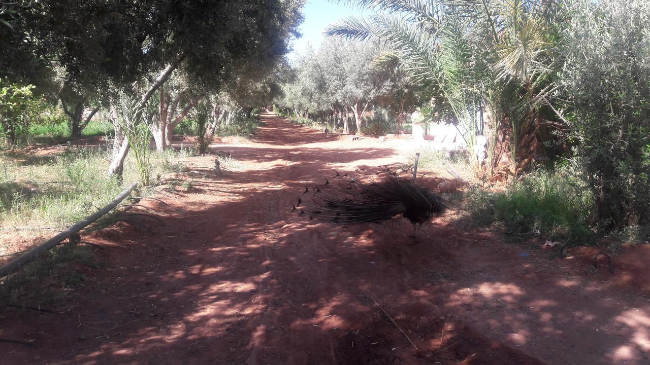 Dar Alfourssane Ferme D'hote