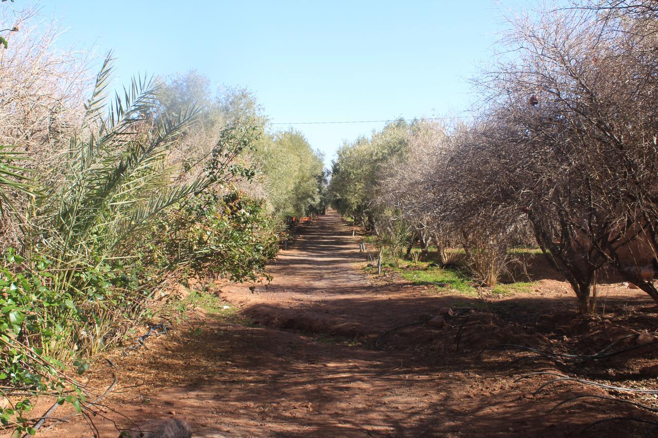 Luxury tent Dar Alfourssane Ferme D'hote *